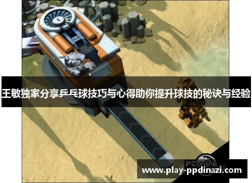 王敏独家分享乒乓球技巧与心得助你提升球技的秘诀与经验
