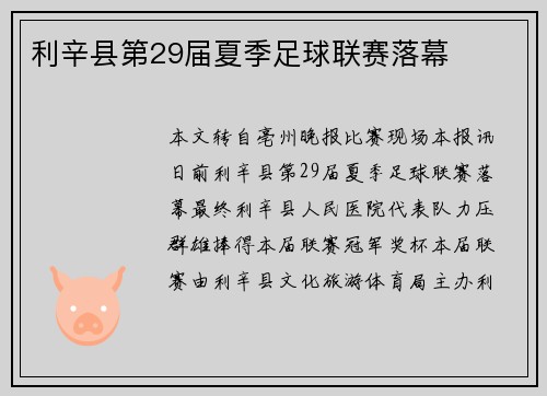 利辛县第29届夏季足球联赛落幕